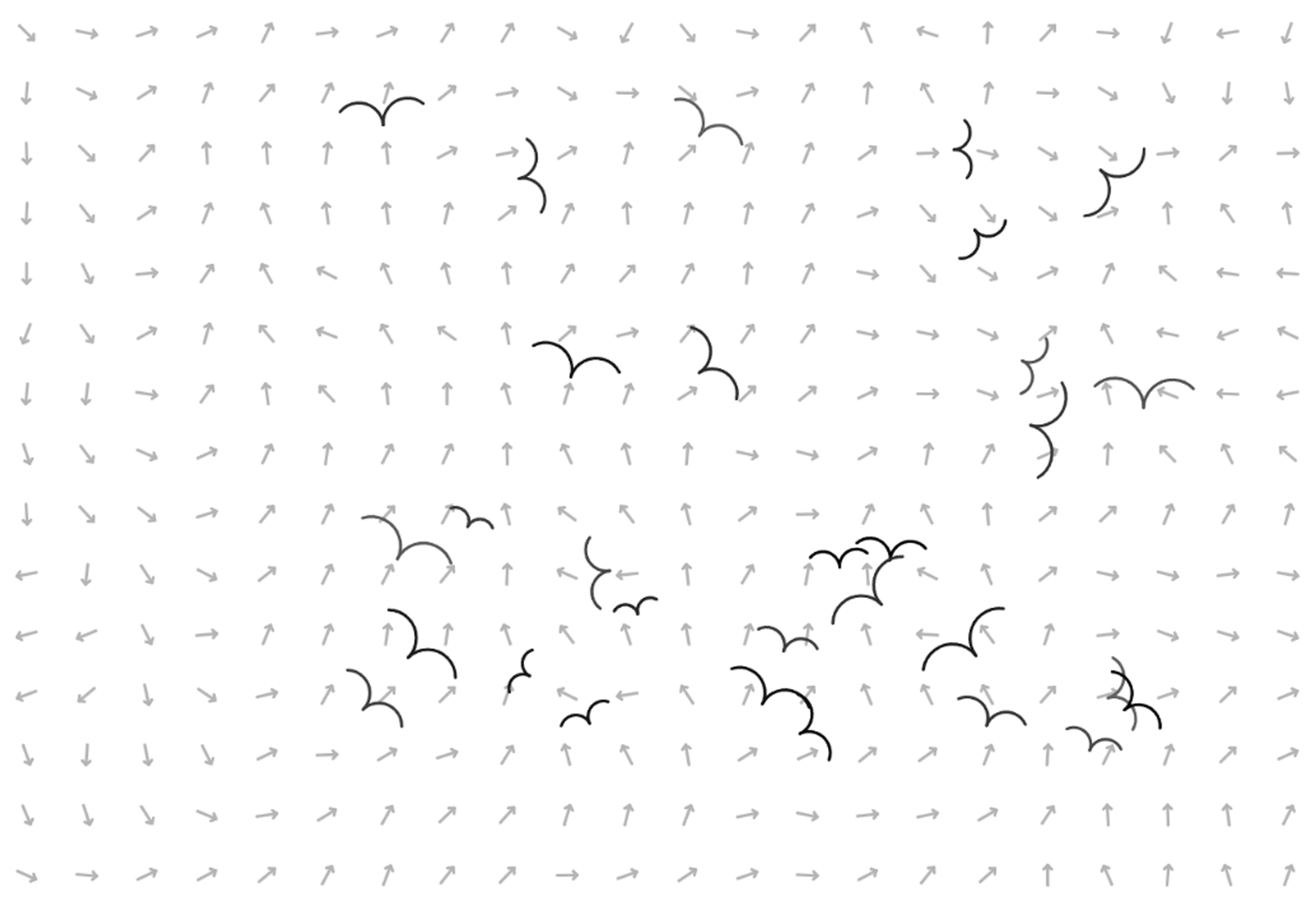 VEHICLES WITH FLOW FIELD